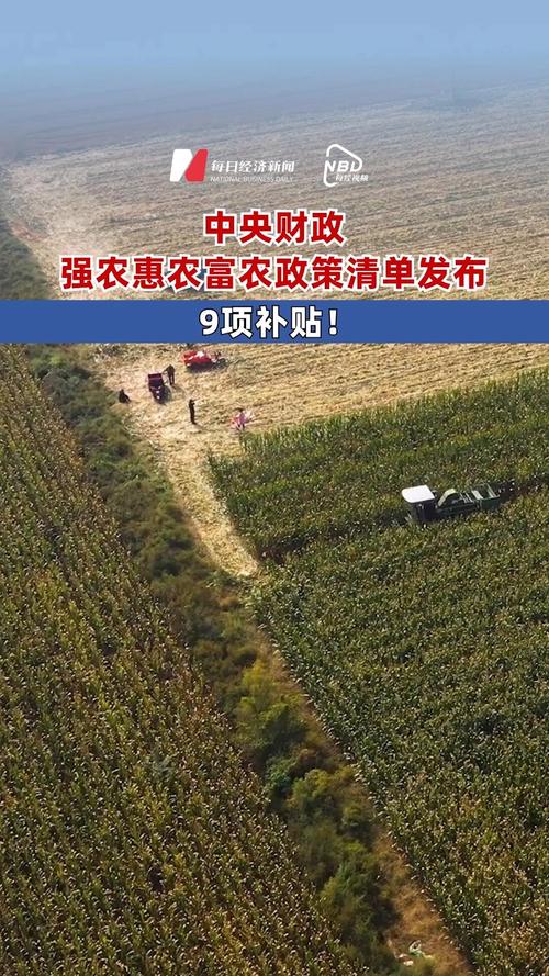 卢龙县农产品包装印刷补贴政策