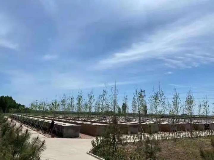 昌黎皮毛厂标签印刷环保争议