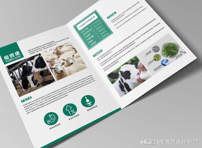 北京画册印刷厂