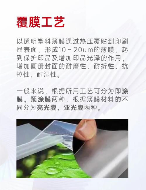 秦皇岛印刷厂覆膜服务